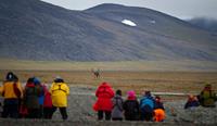 Group of people watching a reindeer on Wrangel Island - (c) MKelly